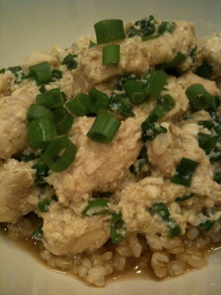 Japanese Chicken-Scallion Rice Bowl